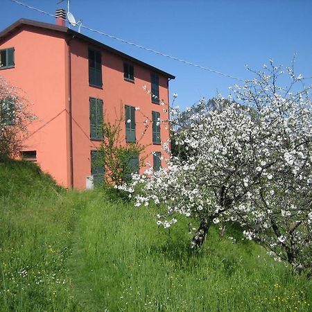 Вилла Agriturismo Casalino Di Ruggiero Simona Беверино Экстерьер фото