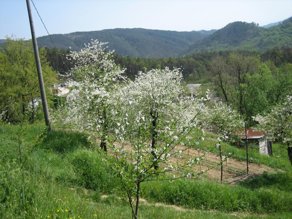 Вилла Agriturismo Casalino Di Ruggiero Simona Беверино Экстерьер фото