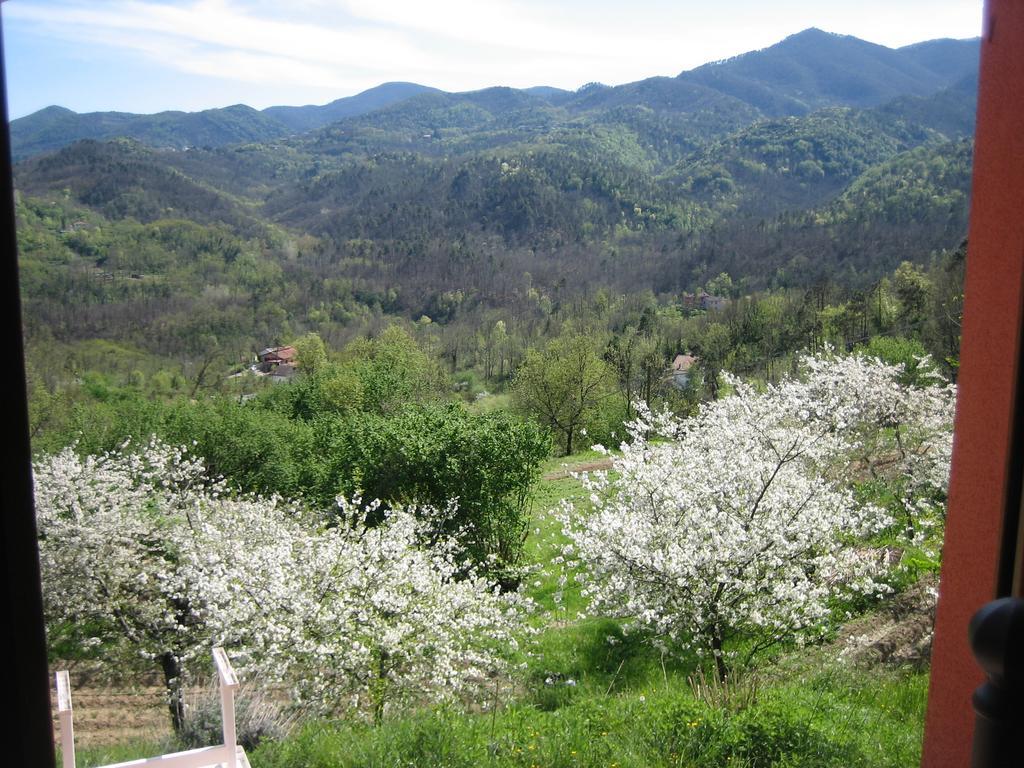 Agriturismo Casalino Беверино Экстерьер фото