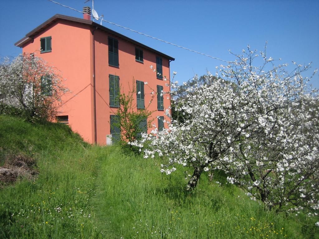 Agriturismo Casalino Беверино Экстерьер фото